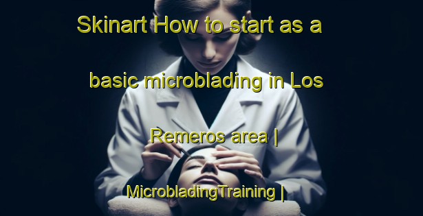 Skinart How to start as a basic microblading in Los Remeros area | MicrobladingTraining | MicrobladingClasses | SkinartTraining-Mexico